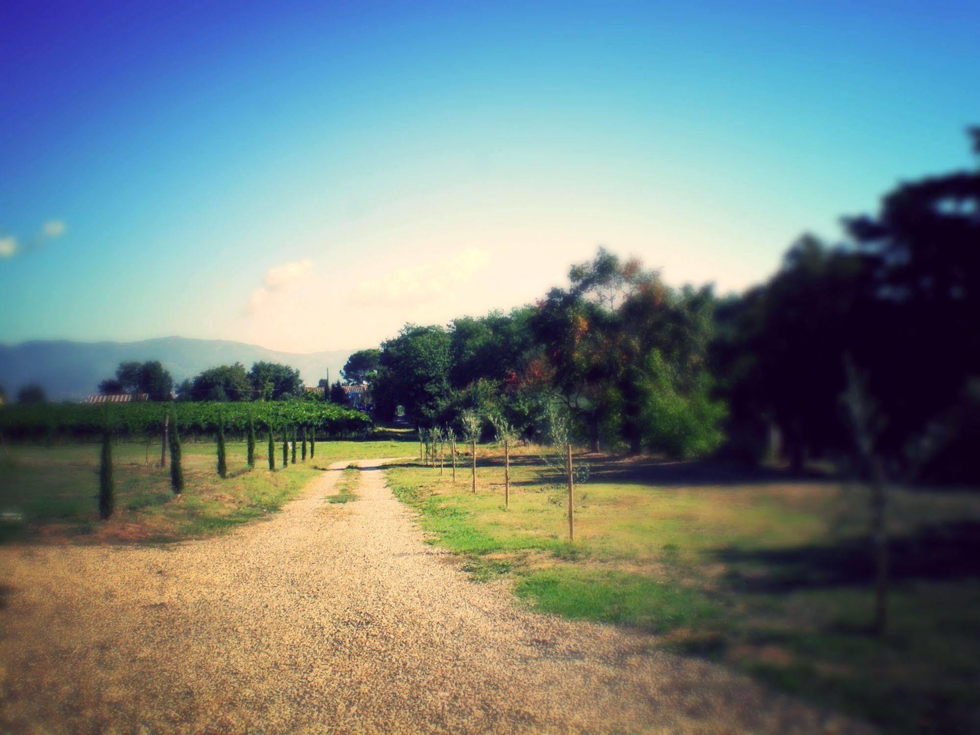 Podere Le Spighe Pension Castroncello Buitenkant foto